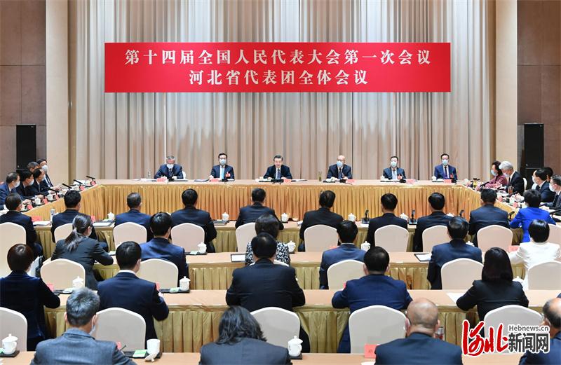出席十四届全国人大一次会议 河北省代表团召开全体会议