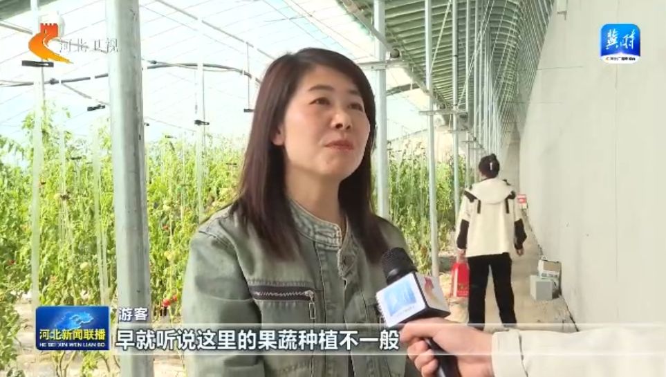 【拔节生长看雄安】雄安新区安新县：智慧农业绘就乡村振兴新图景
