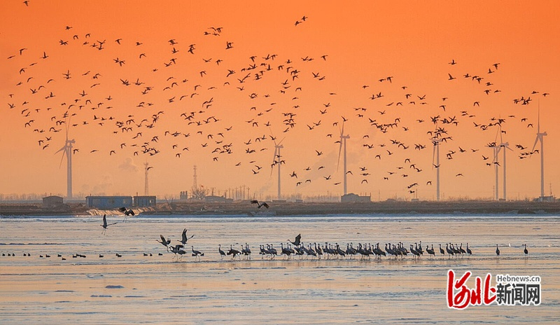 1749356478720992.png 图片5.png