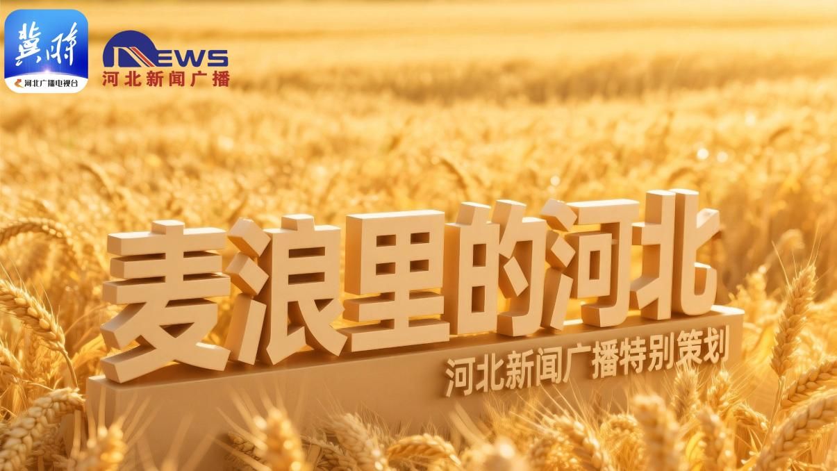 麦浪里的河北 | 看“四新”农场里稳稳的幸福