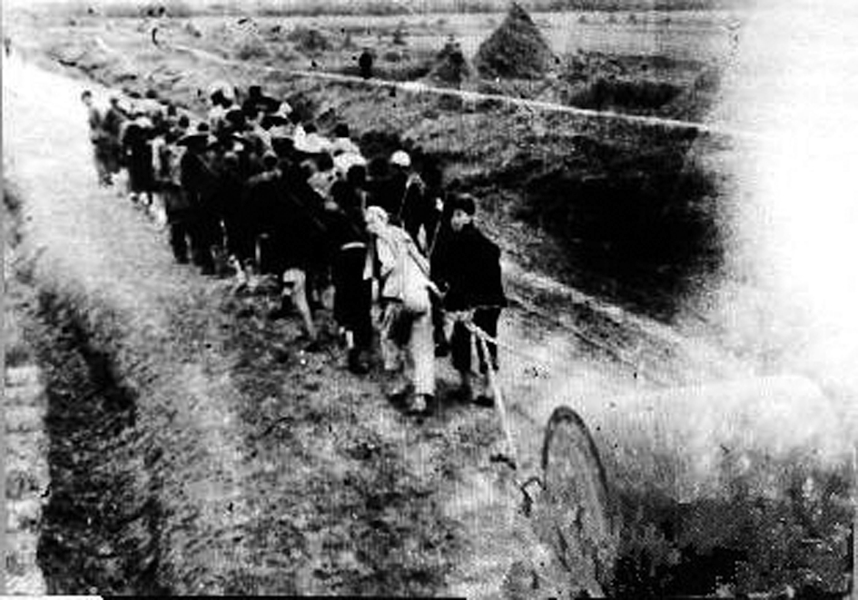 1750469588729222.jpg 老照片1.jpg