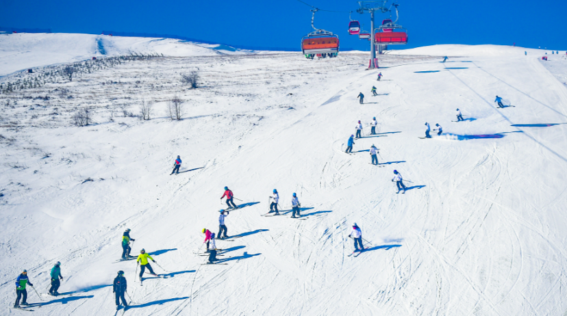 1765155376570428.png image.png