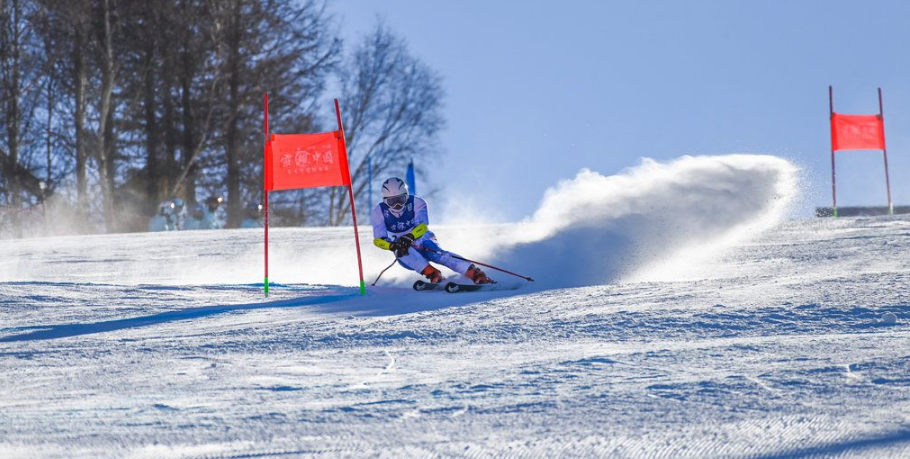 1767834075991726.png image.png