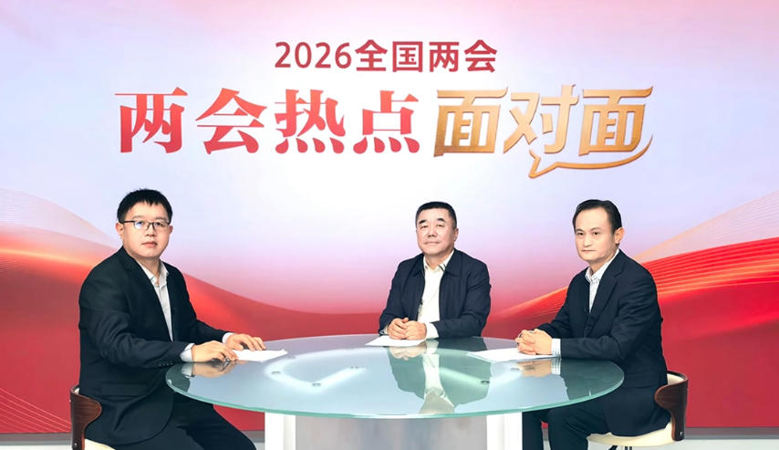 两会热点面对面丨“高效办成一件事”，怎样办出更高效能