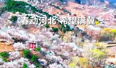 冀时新闻主播说丨春动河北，希望满冀