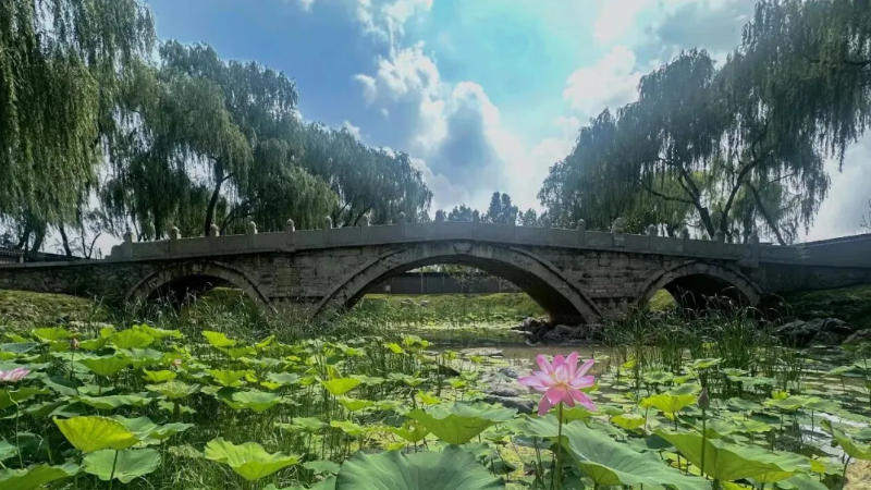 猜猜古人把思念与春光藏在哪里？