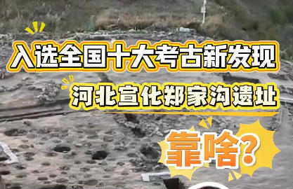 河北宣化郑家沟遗址入选2025年度全国十大考古新发现