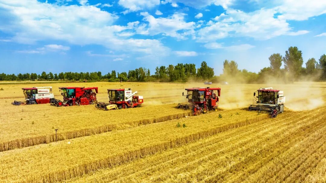 奋进的定州·我们的“十四五” | 定州：景美业兴活力足 村强民富画卷新